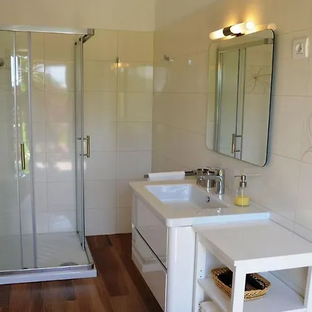 Spacious Poolside With Beautiful Garden In Kringa Pinezici (Istria)