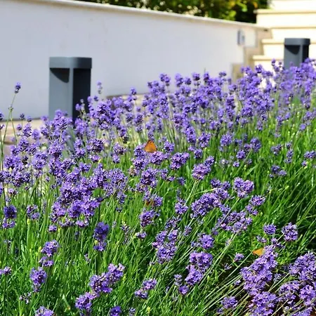 Spacious Poolside With Beautiful Garden In Kringa